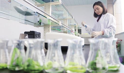 如何排除混子公司找到專業(yè)的上海甲醛檢測機構？